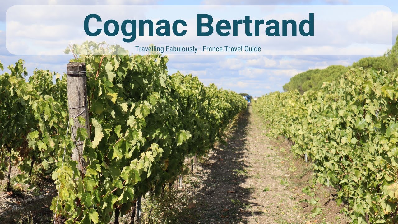 Cognac Bertrand - Who is Cognac Bertrand?