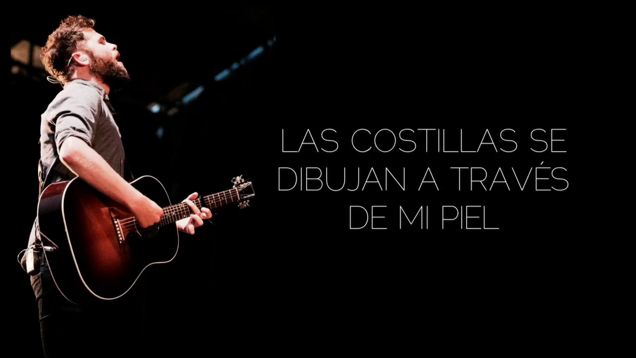 Passenger - Stray Dog (Español)