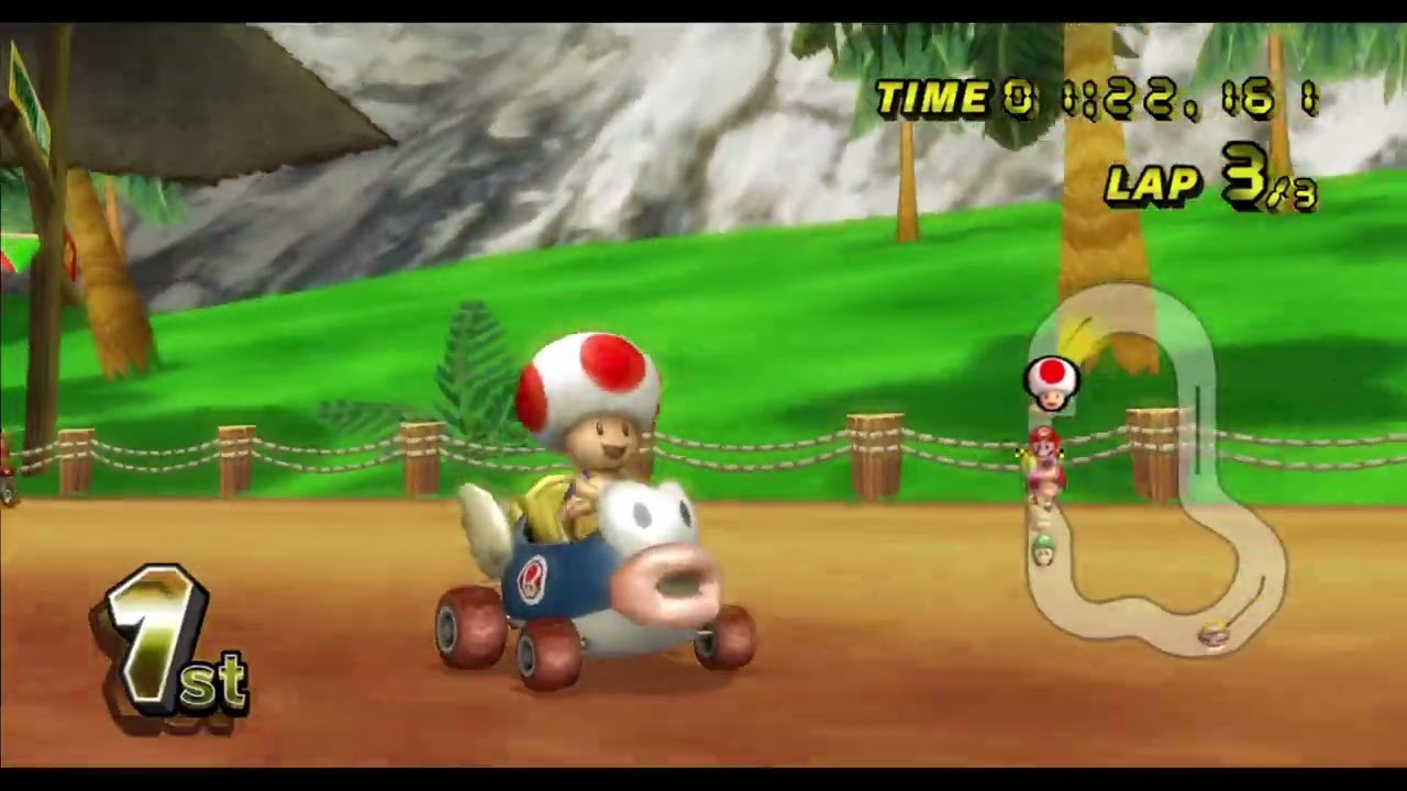 Mario Kart Wii GamePlay
