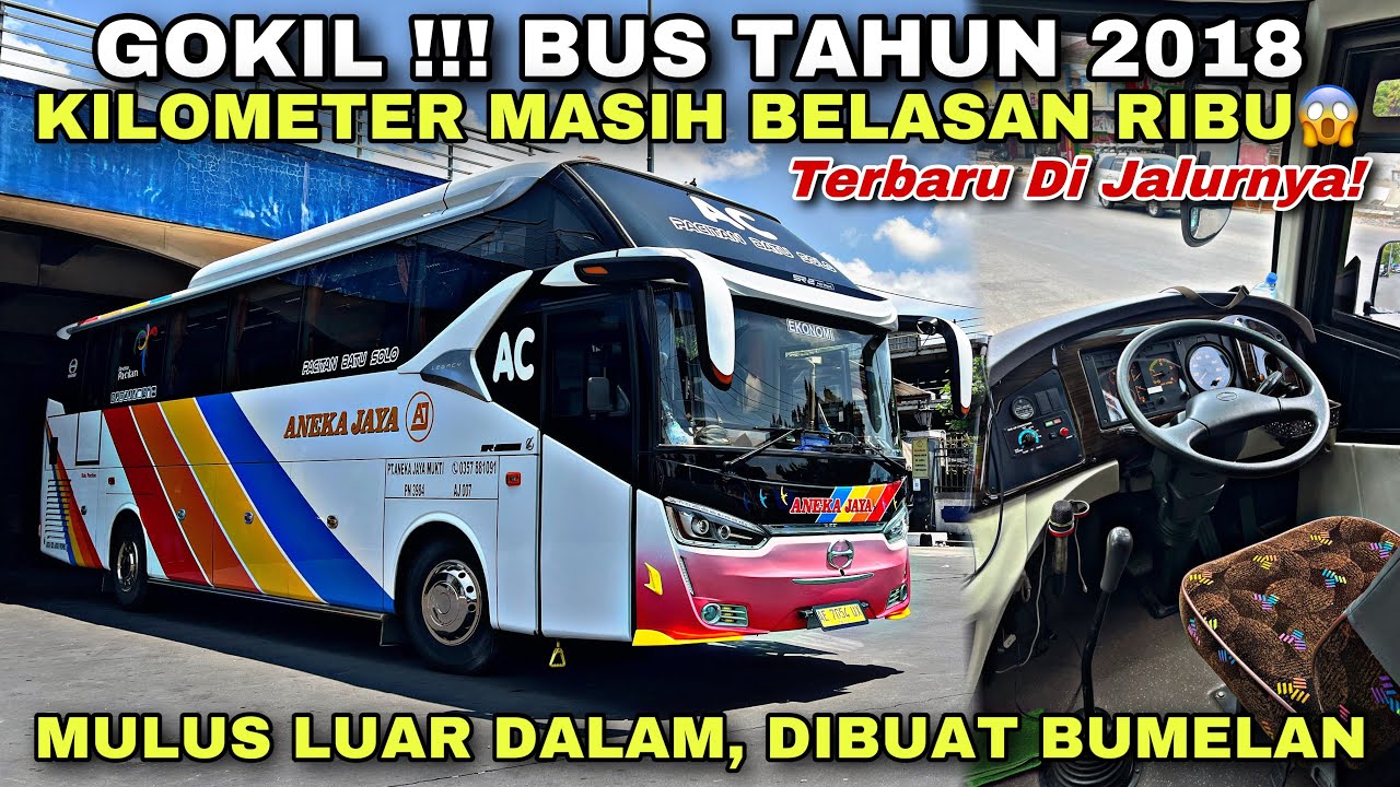 GOKIL 😱 Bus Tahun 2018 Kilometer Masih Belasan Ribu ❗️| trip Aneka Jaya AE 7054 UX “ Lembah Manah “