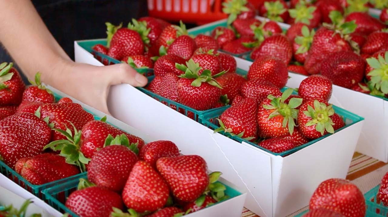 Berry Buff: Jake Godby of Humphry Slocombe