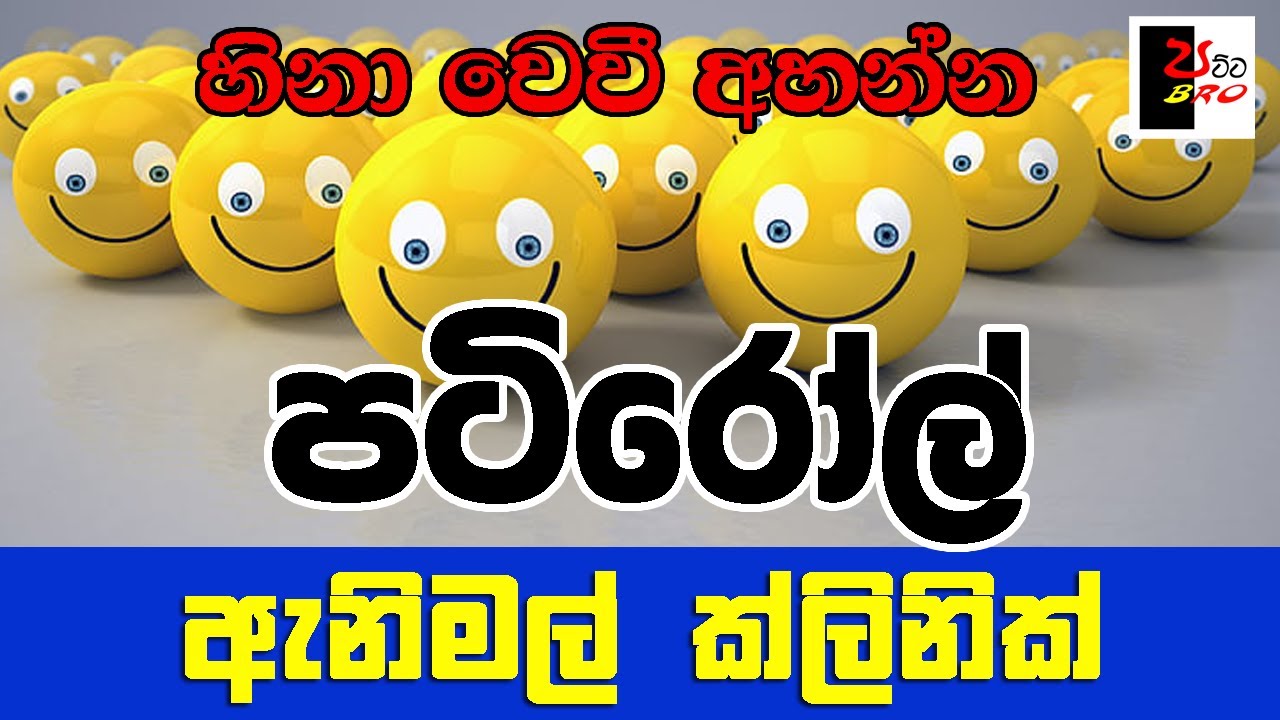 PATIROLL | පටිරෝල් | ඇනිමල් ක්ලිනික් | Patta bro