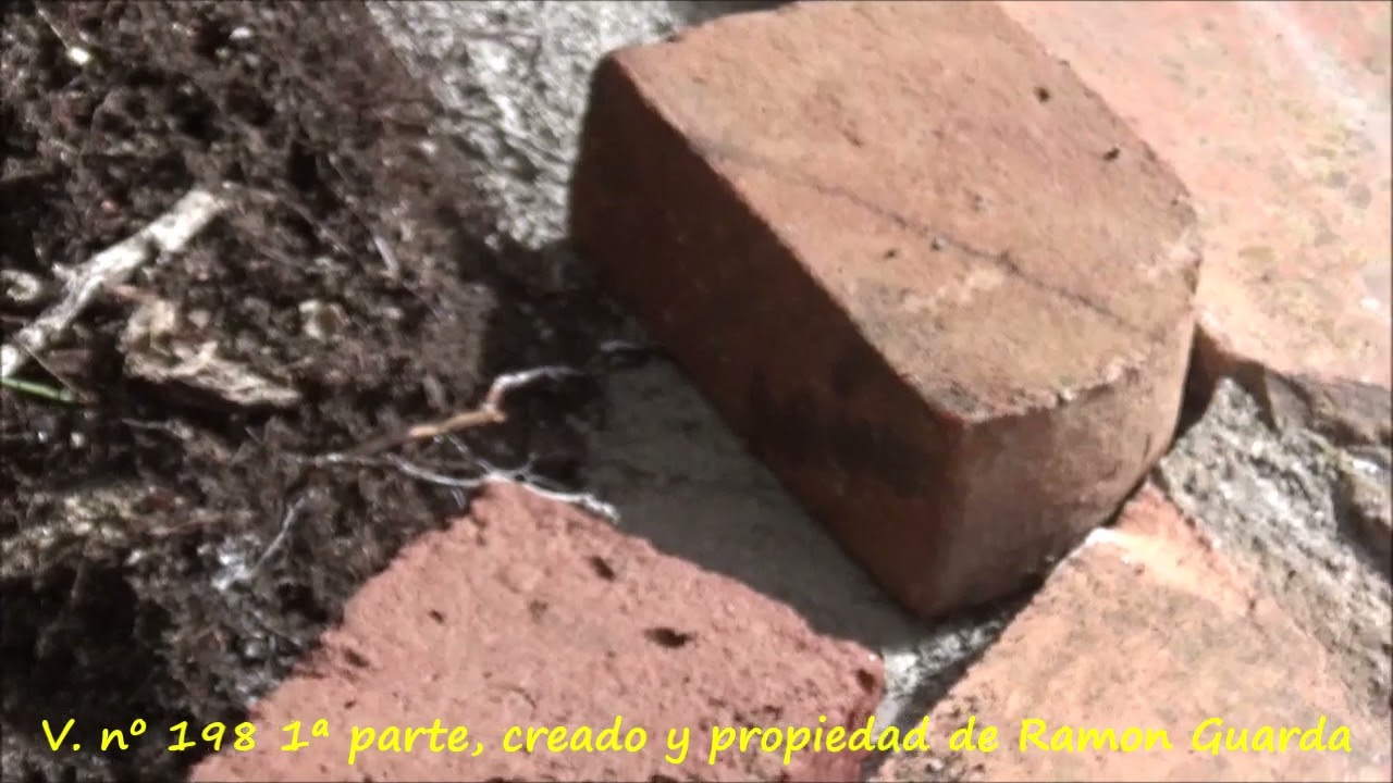 Cómo hacer una jardinera con ladrillo a cara vista 1ª part. vídeo nº 198