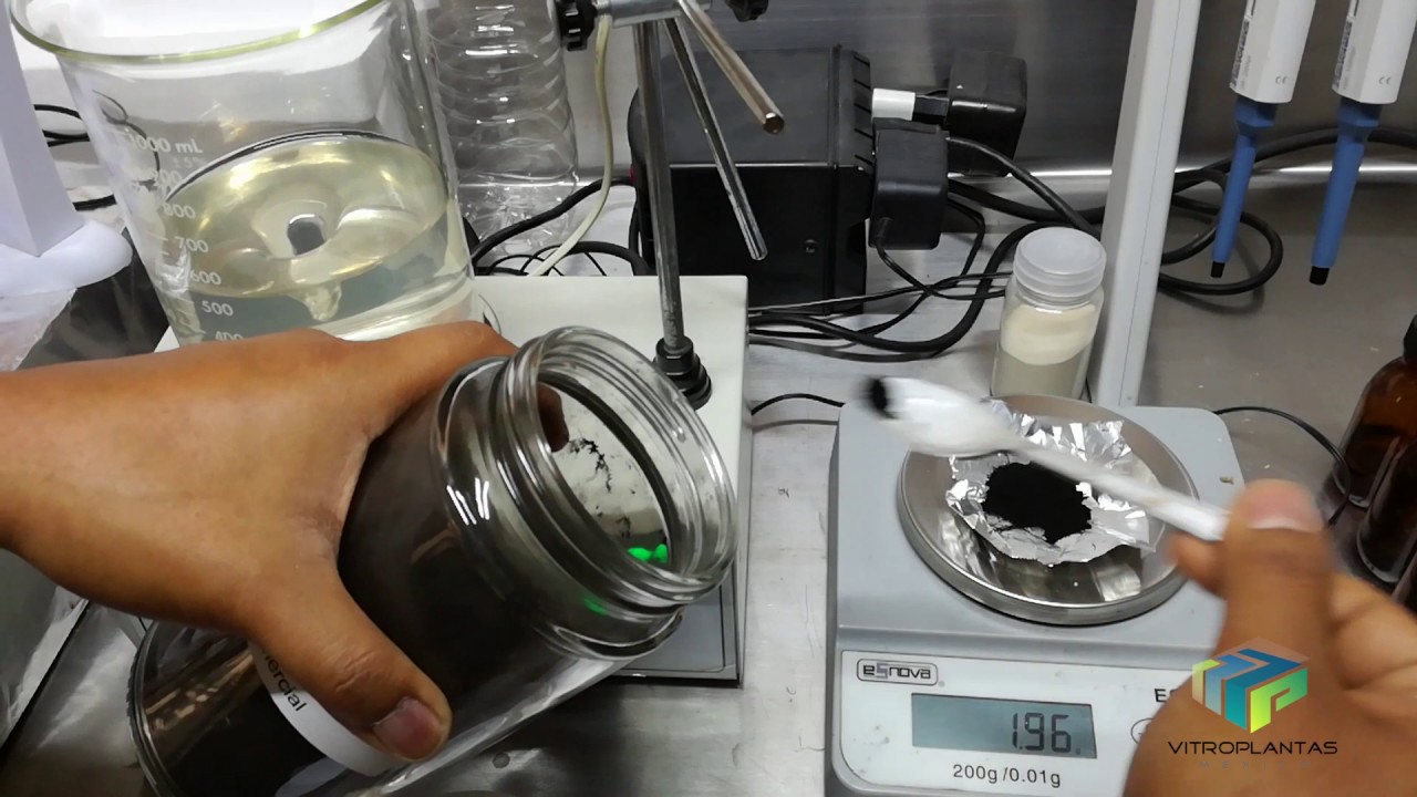 Medio de Cultivo para orquídeas con agua de coco para cultivo in vitro