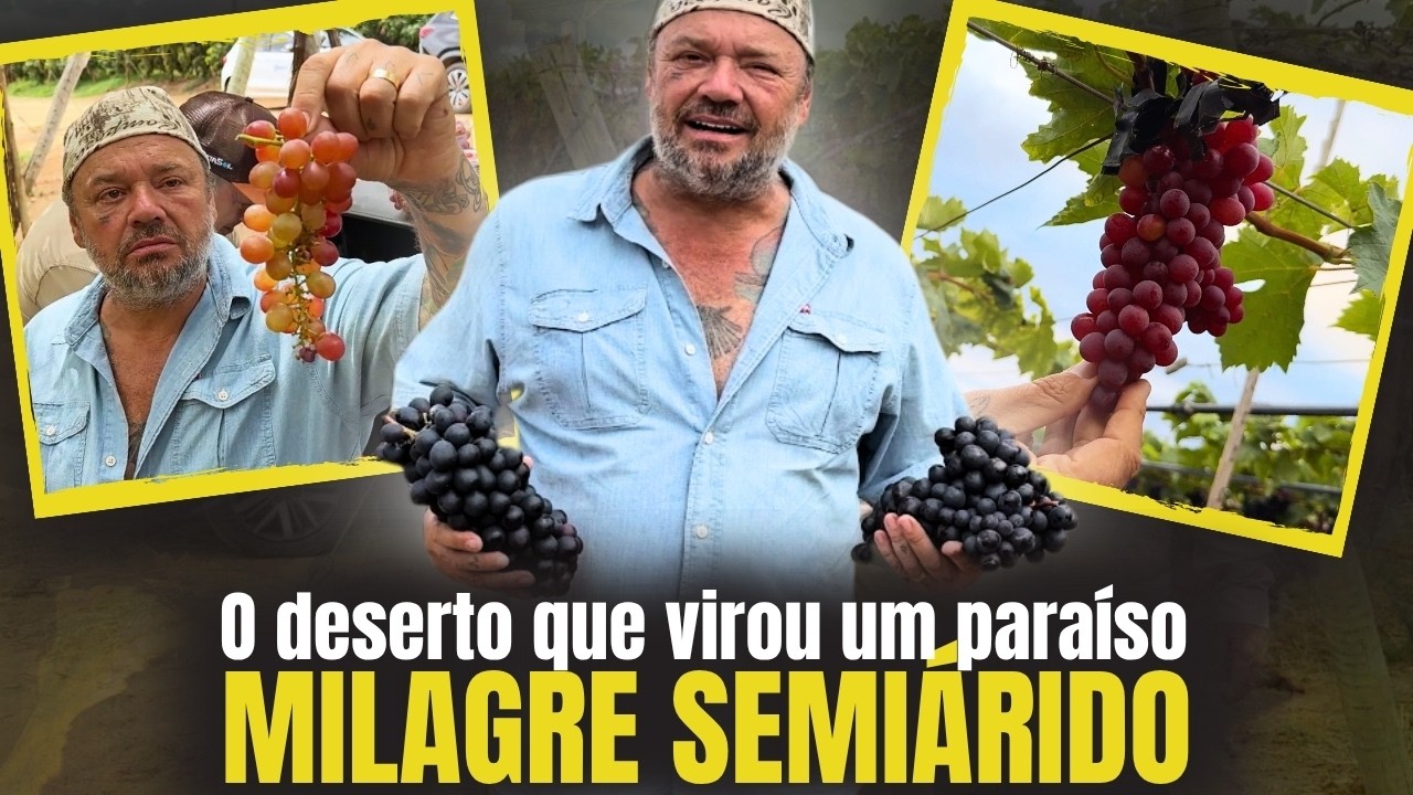 💧 DA CAATINGA AO PARAÍSO DAS UVAS! O poder da irrigação do São Francisco 🍇