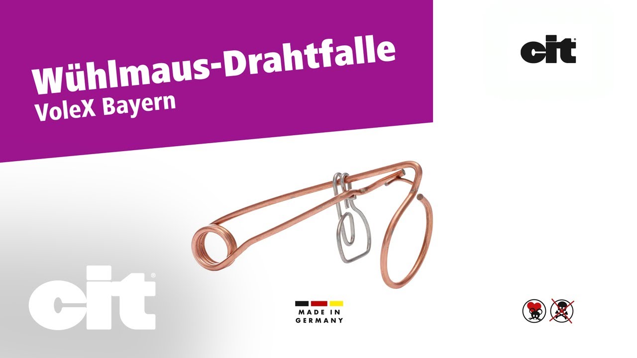 cit Wühlmaus-Drahtfalle VoleX Bayern (#299623)