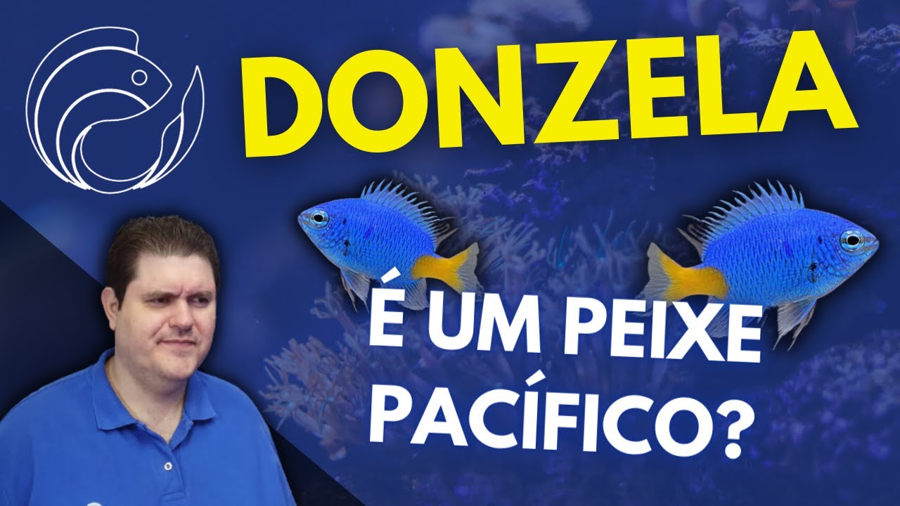 DONZELA É UM PEIXE PACÍFICO?