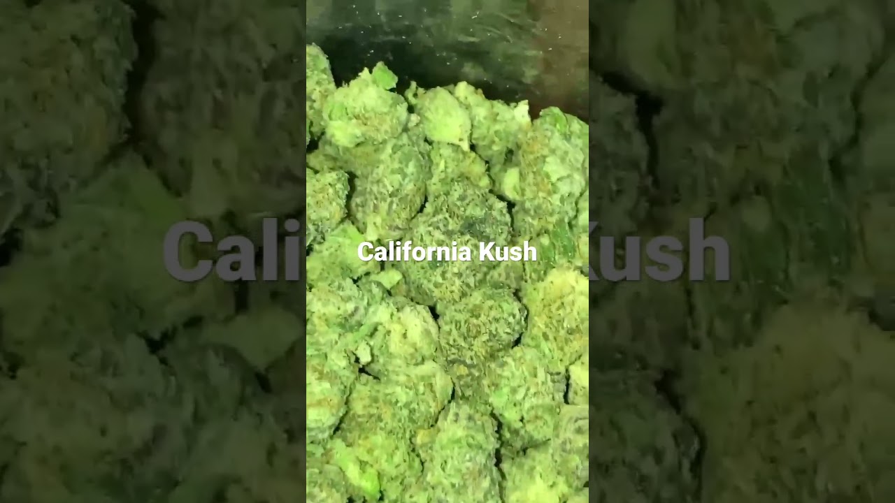 California Kush #Exotic