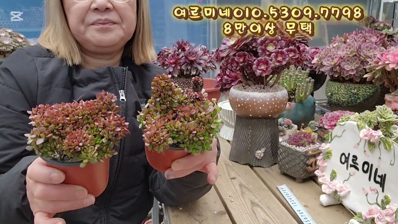 2026년 3월 2일
