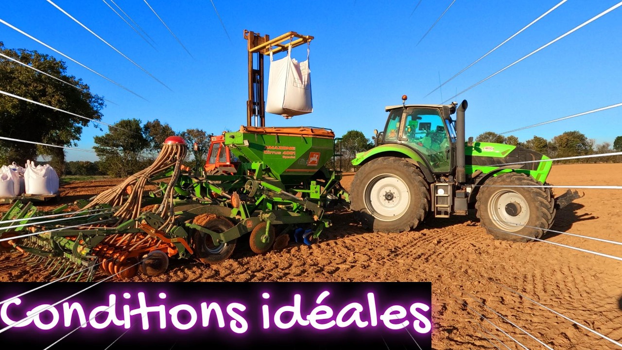SEMIS DE BLE - 2025