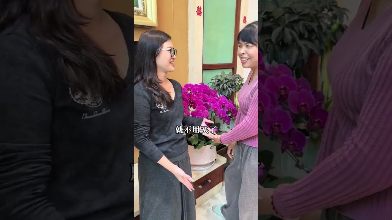 过年贺祥小杰一家出发去逛花市买年花，各式各样的花和果树让人挑花眼了，每个人都挑选了自己喜欢的新年花，公公婆婆还抱回来了6棵果树，打算种在院子里，…