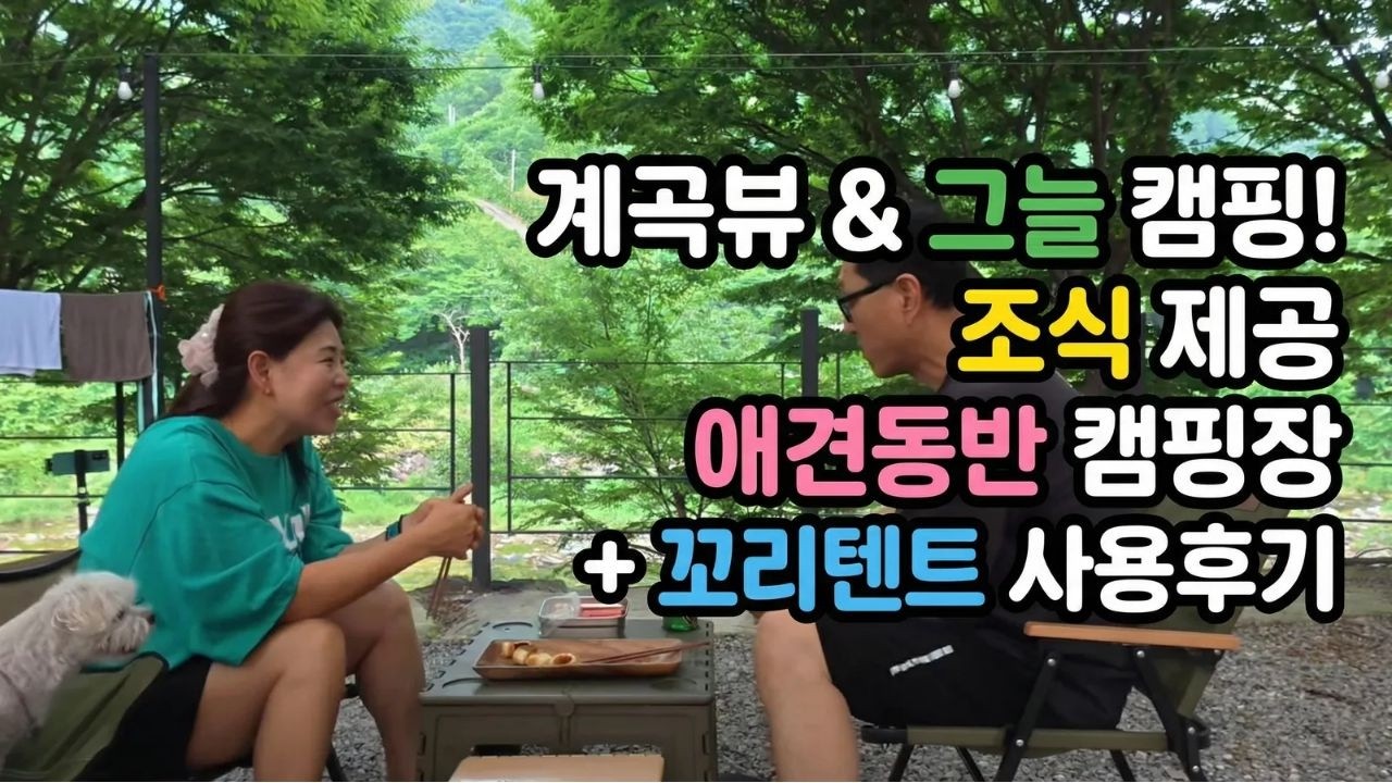 #캠핑#차박 / 조식 나오는 애견동반캠핑장! 느티나무그늘+계곡+차박꼬리텐트 후기/#캠핑브이로그#부부캠핑