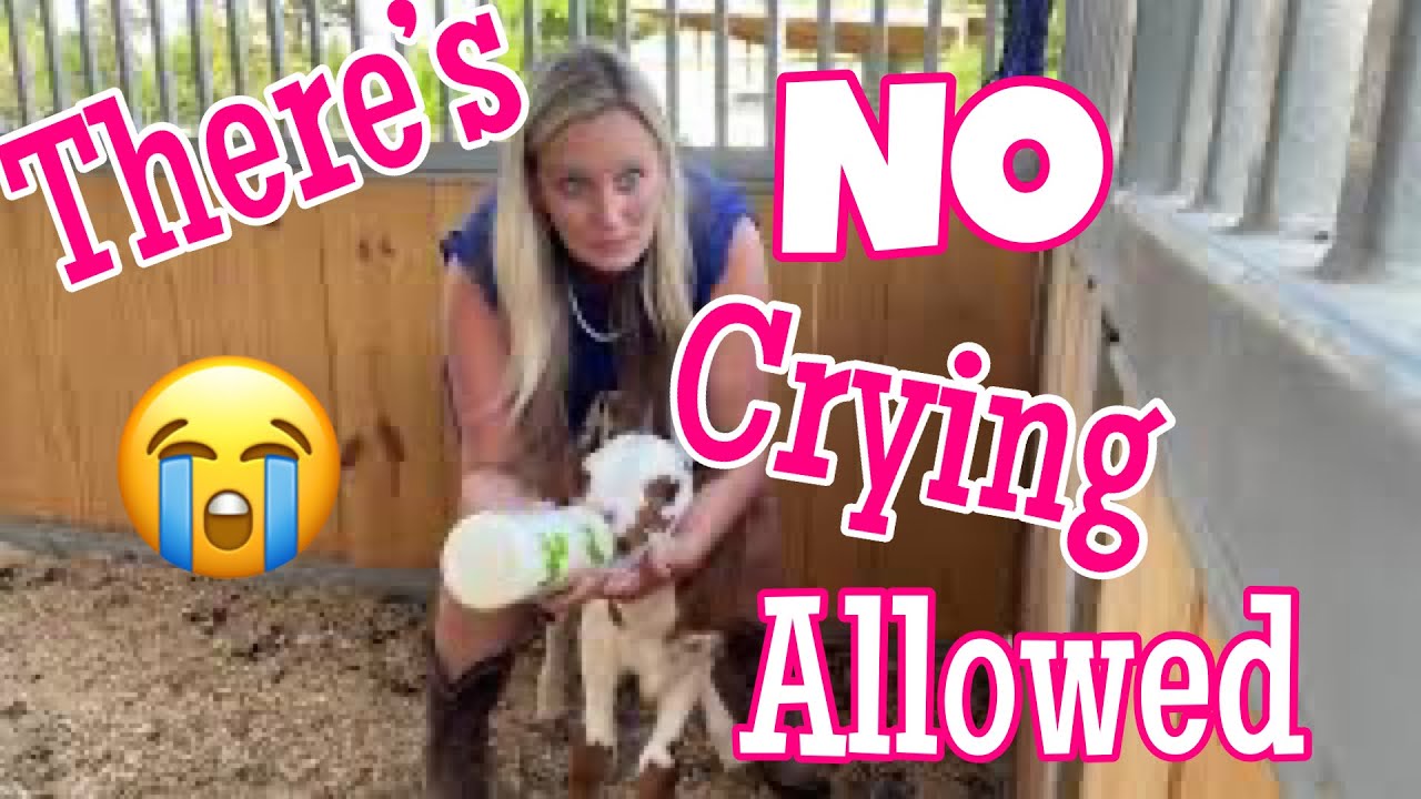Only One Cry Baby Allowed
