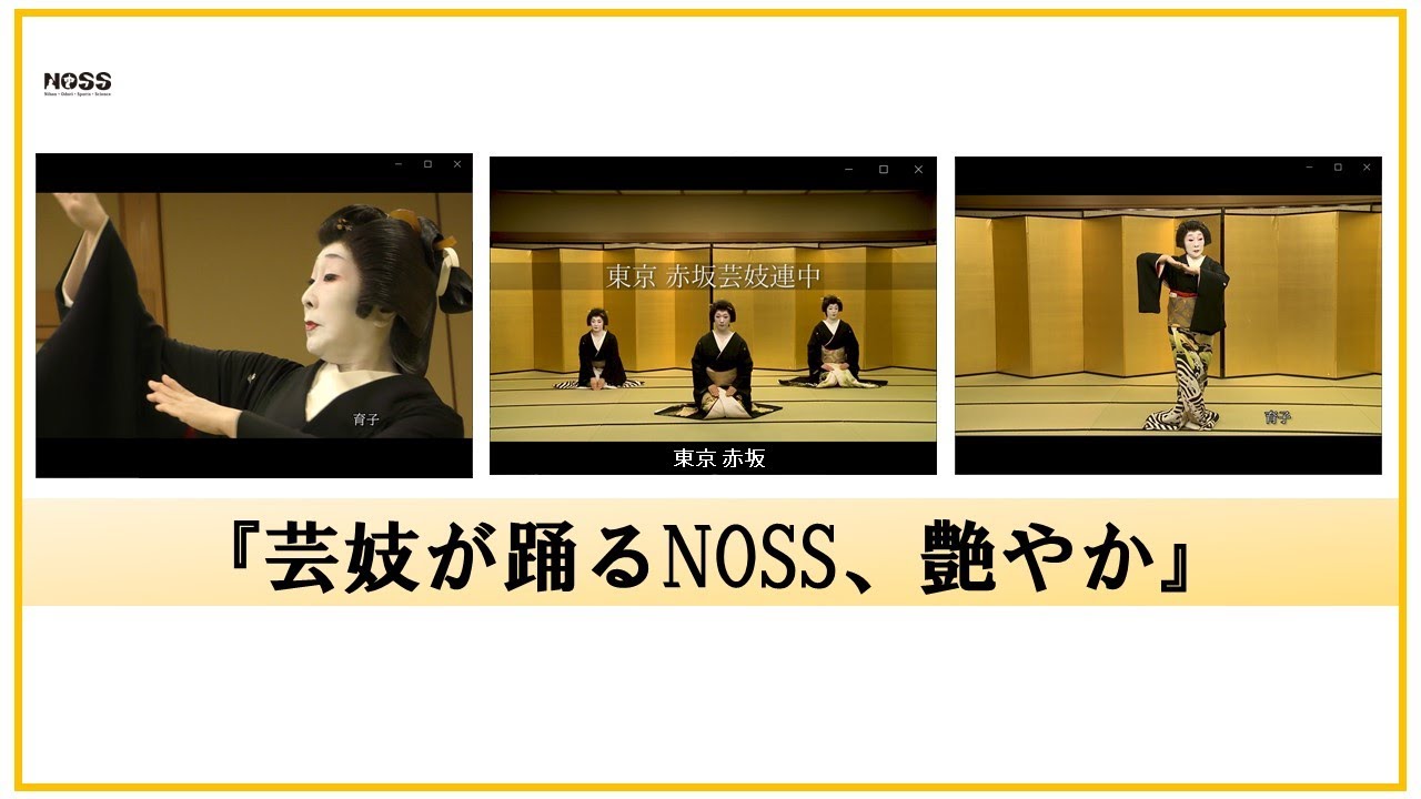『芸妓が踊るNOSS、艶やか』