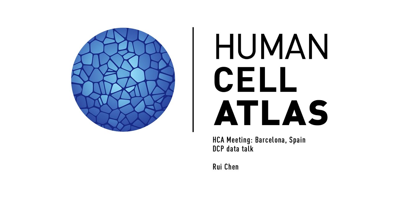 HCA Meeting: DCP data talk, Rui Chen