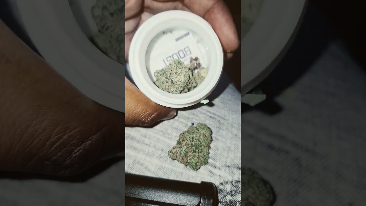 New Strain Review By Curio Gush mints x Runts smells & taste like life savers Wintogreen pez candy