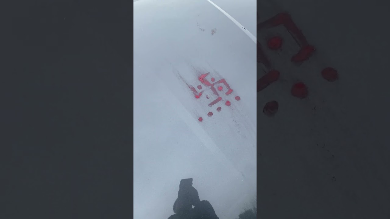 N. A. Z. I sign on dude&rsquo;s car