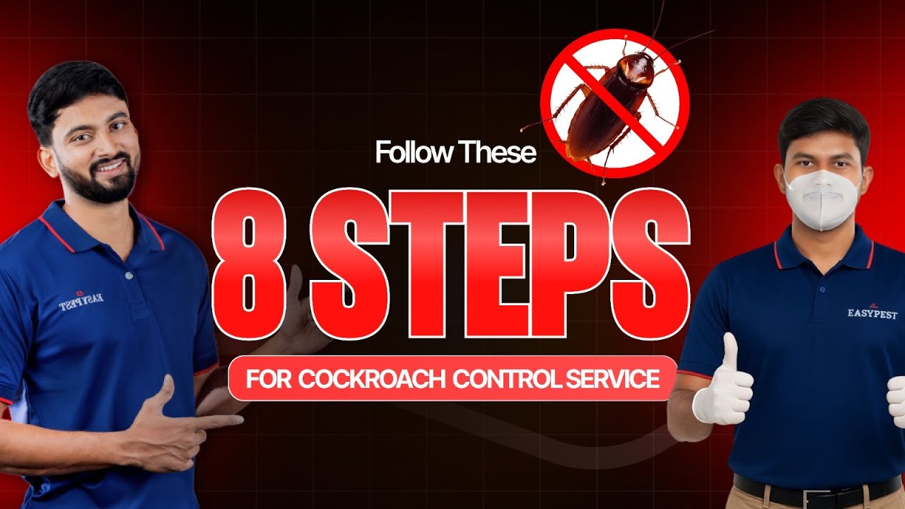 8 Simple Steps for a Successful Cockroach Control Service | Easy Pest Control