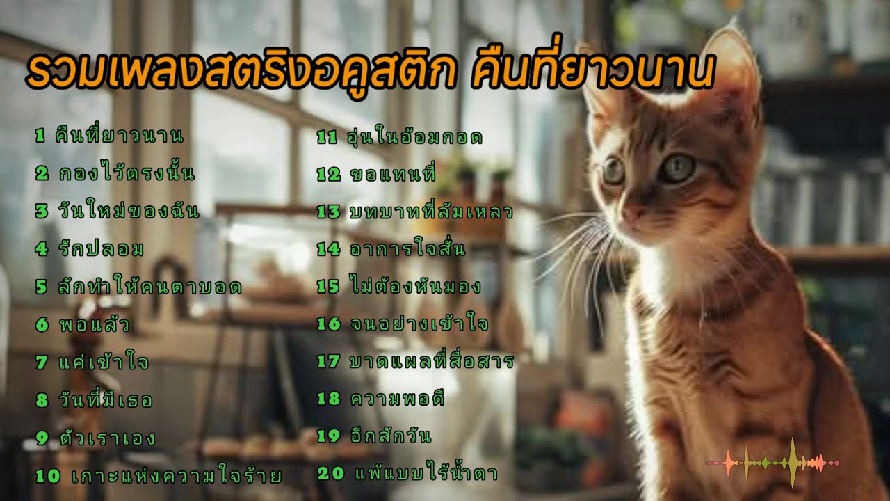 รวมเพลงสตริงอคูสติก คืนที่ยาวนาน  #เพลงใหม่ล่าสุด 