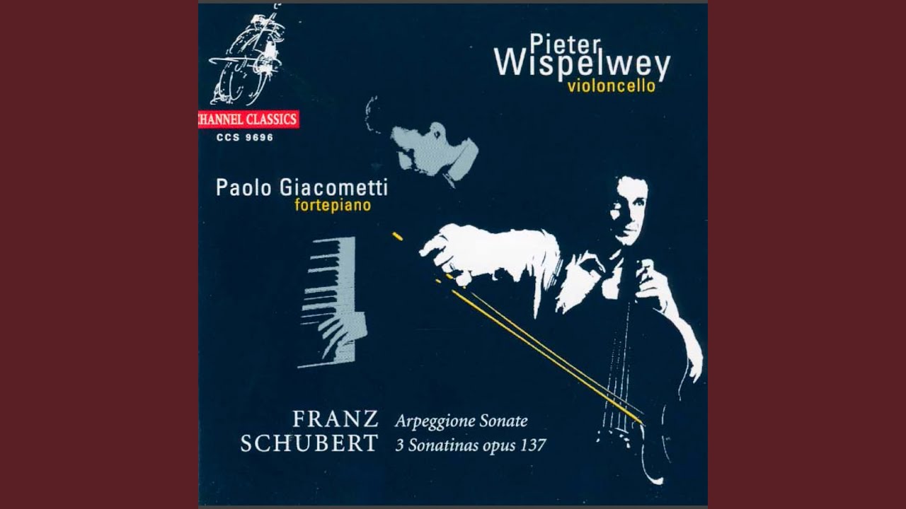 Violin Sonata in A Minor, D. 385 (Arr. for Cello and Piano by Pieter Wispelwey) : II. Andante