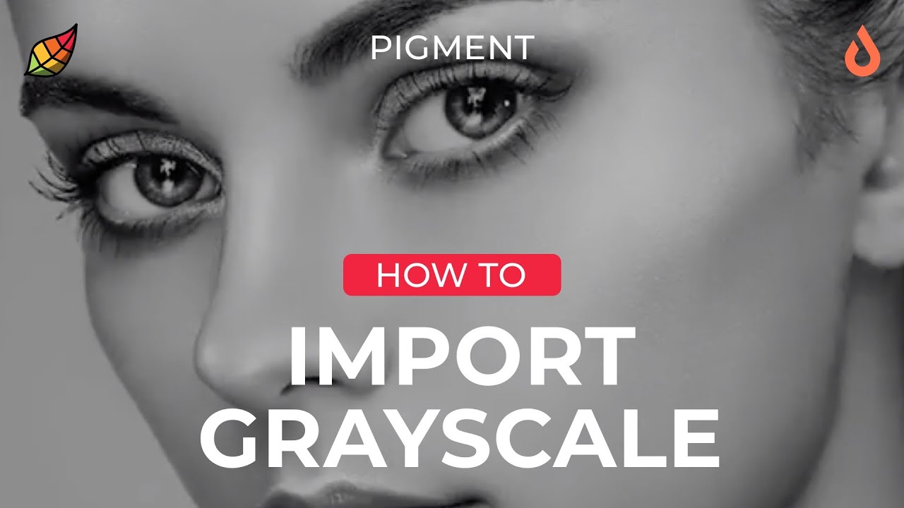 Pigment How To: Importing Grayscale Images | Grayscale Coloring | Digital Coloring Process for iPad