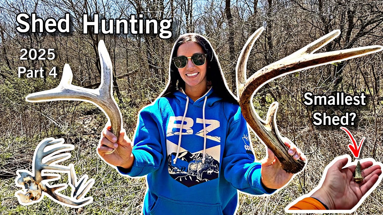 Shed Hunting Pt. 4 | SMALLEST ANTLER?? | Late Spring 2025