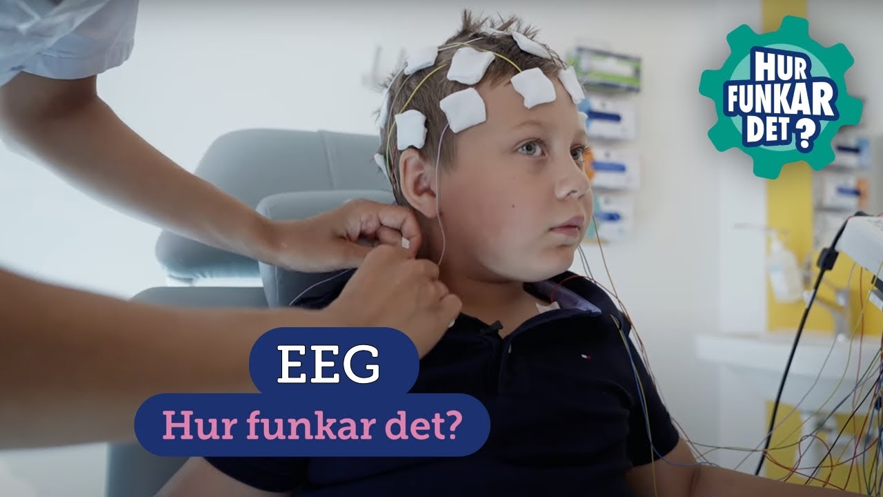 EEG (barn)