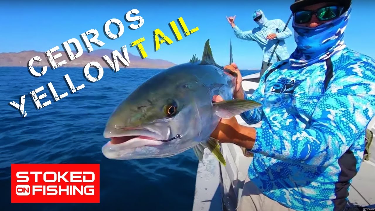 Cedros Island Yellowtail Fishing | Stoked On Fishing - Full Episode | 2020