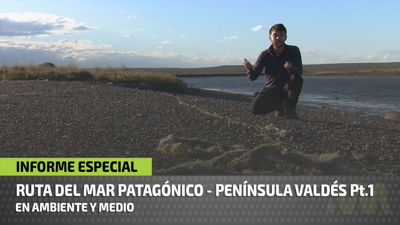 Ruta Natural del mar patagónico: Península Valdés - Parte 1