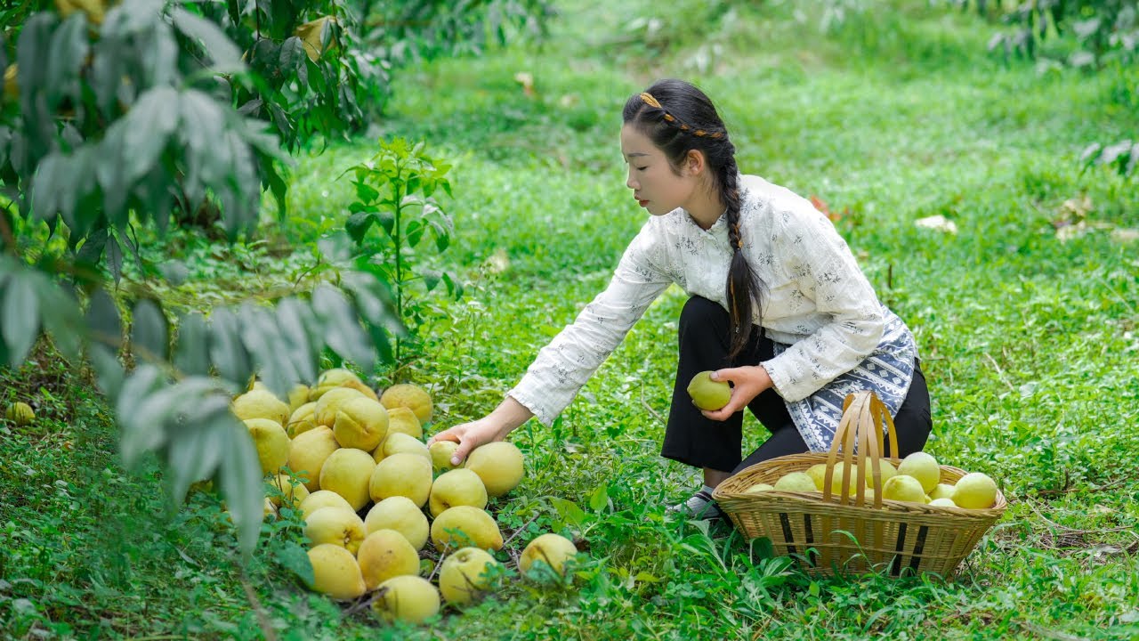 Canned yellow peaches.满园的黄桃比拳头大，很多人以为只能做罐头，原来还有这么多吃法 | 野小妹 wild girl