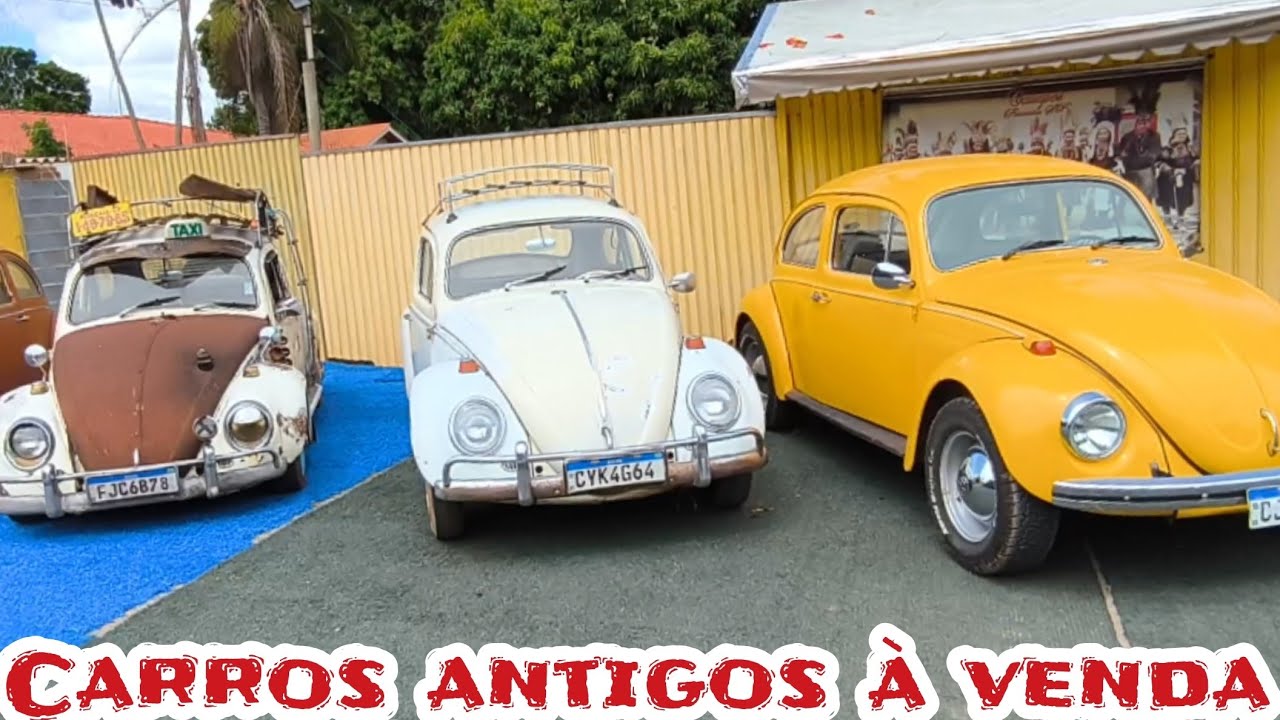 OLHA SÓ TODOS À VENDA CARROS ANTIGOS E PEÇAS SALVA FUSCA PIRACAIA #classiccars #aircooled #fusca