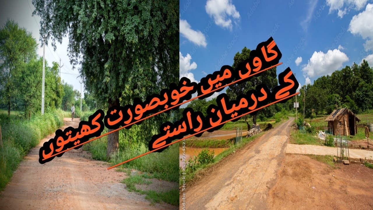 Beautiful roads between fields in Village |Ch Asim Vlogs| Travel Vlogs|