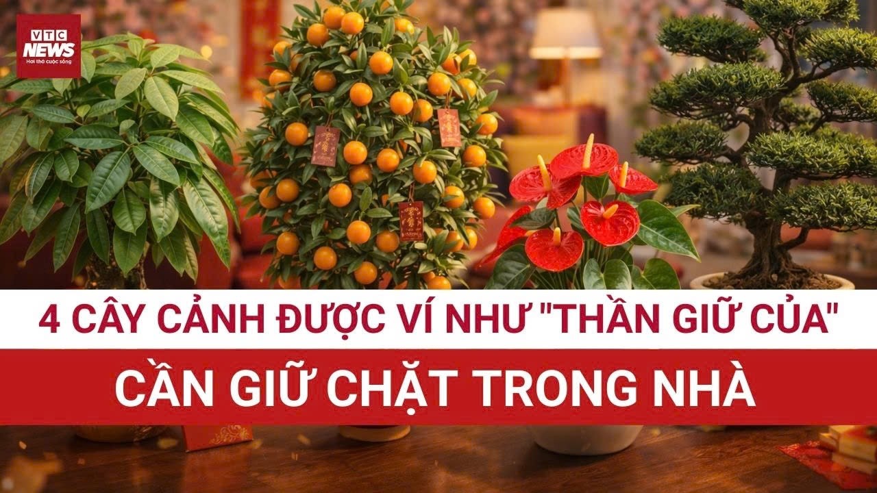 Tết 2026: 4 loại cây 