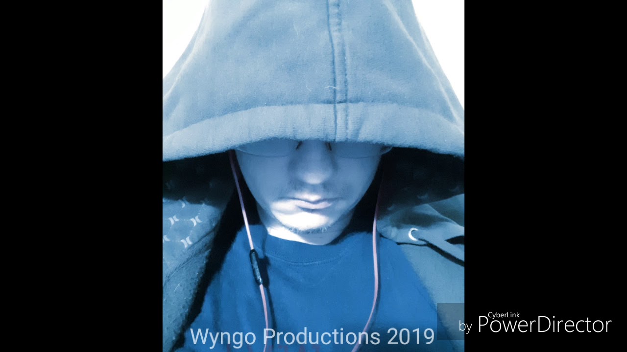Visions-Wyngo