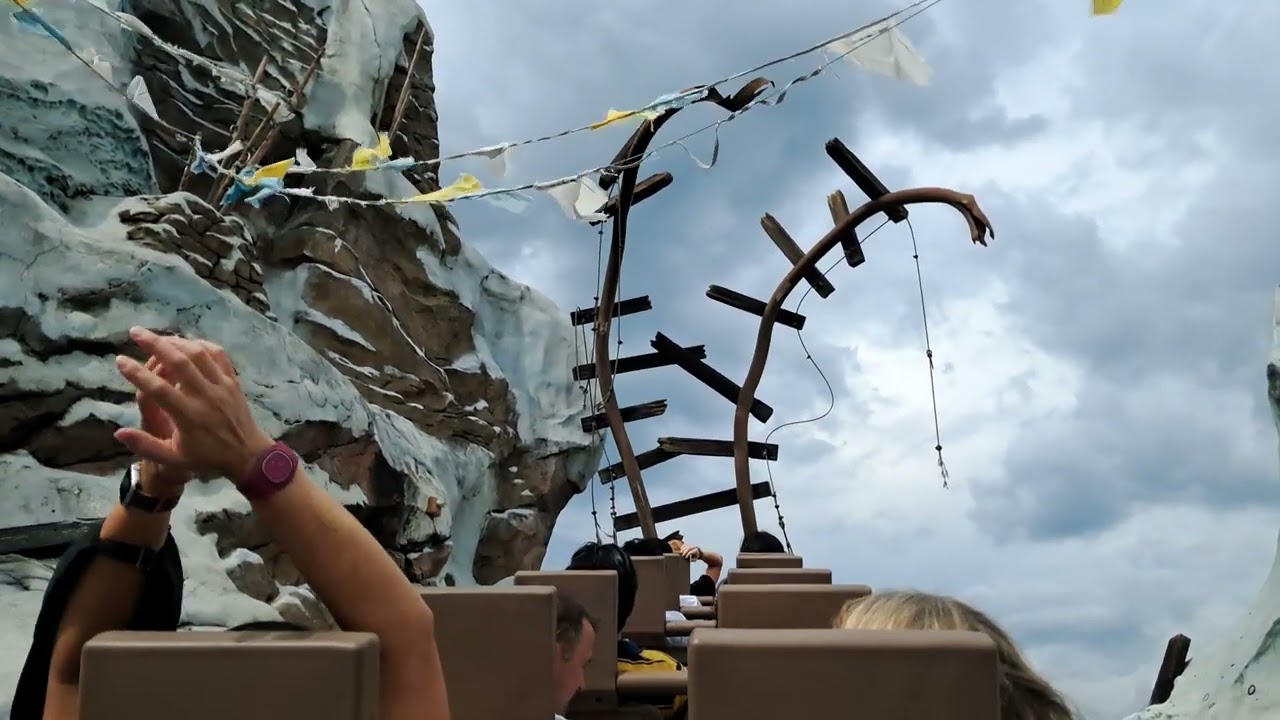 Expedition Everest roller coaster at The Animal Kingdom