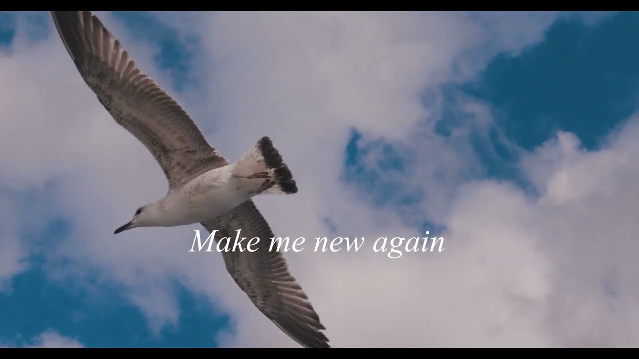 Hide Me In Your Wings - Nature Lyric Video - New Mix 2026 | Kirsten White - Soli Deo Gloria