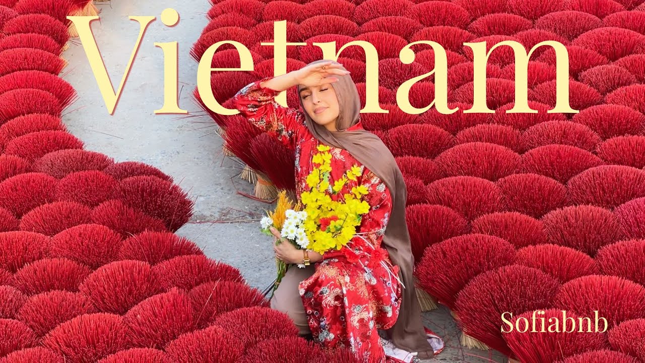 J&rsquo;AI FAIT LE VIETNAM EN SAC &Agrave; DOS SANS PROGRAMME (Hano&iuml;, Ninh Binh, Da Nang) 🇻🇳