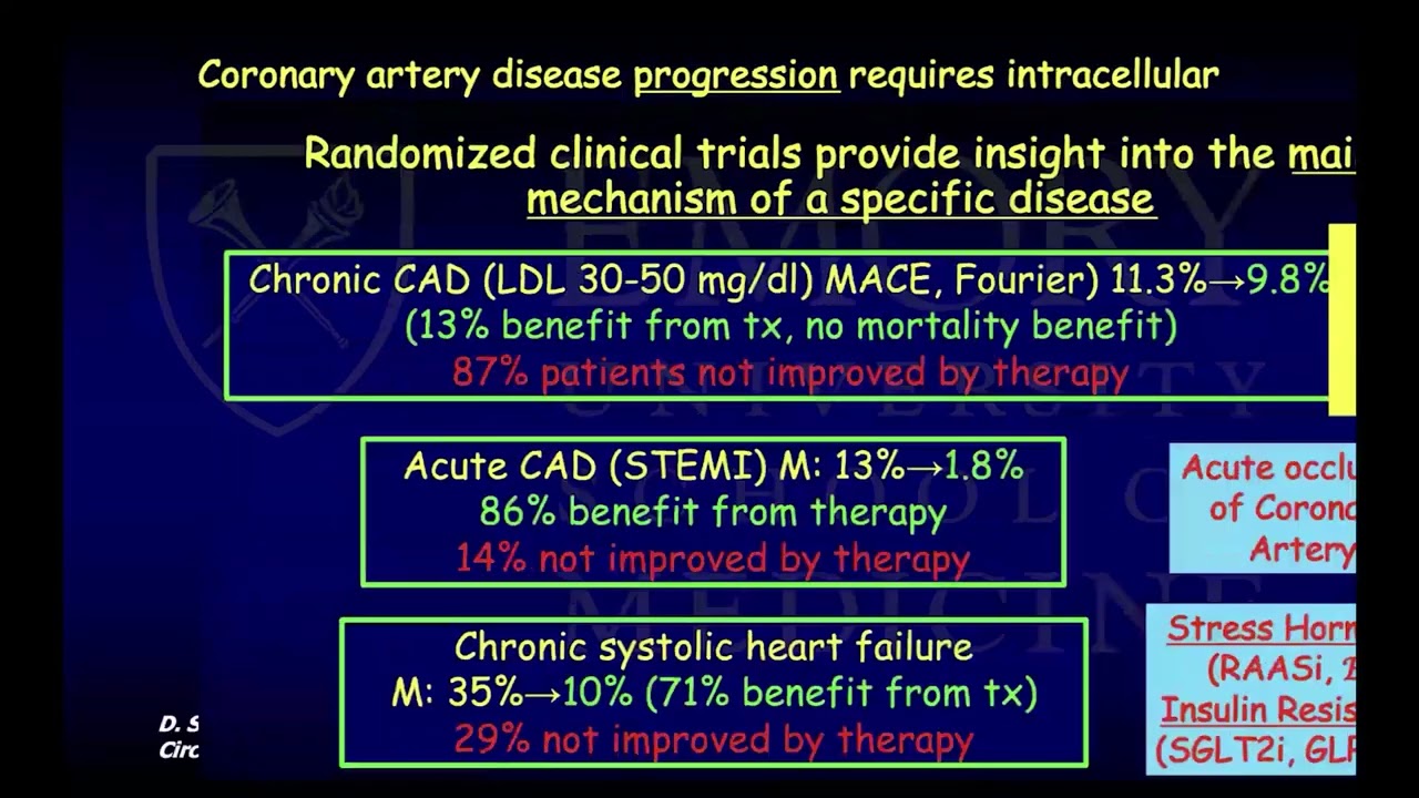Omega 3 Supplementation and Cardiovascular Protection