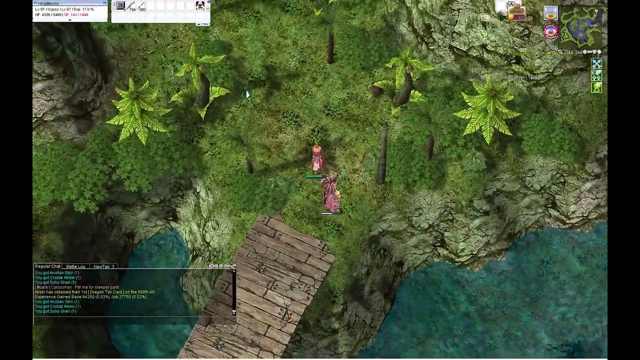 Uaro Gypsy Anolian Farmer