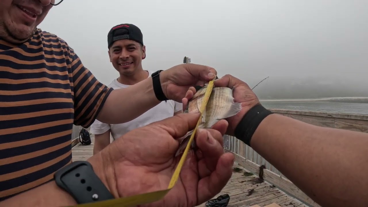 Porgy fishing at Long Island Pier       with Mexican friends  6/25/23