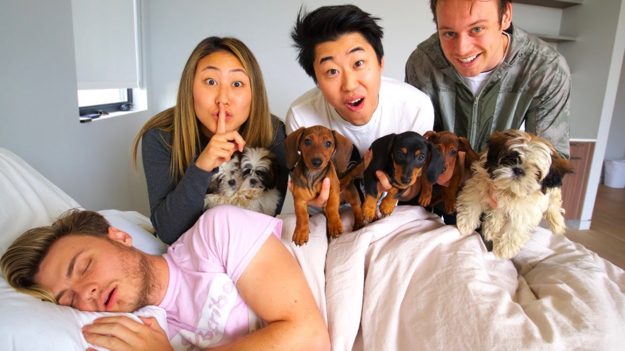 SURPRISING MY BOYFRIEND WITH PUPPIES!!