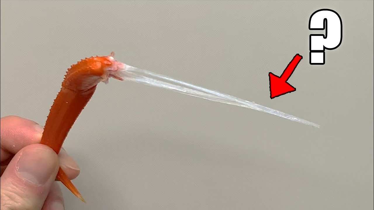What’s Plastic-Looking Substance Inside a Crab Leg? (Not Bone)