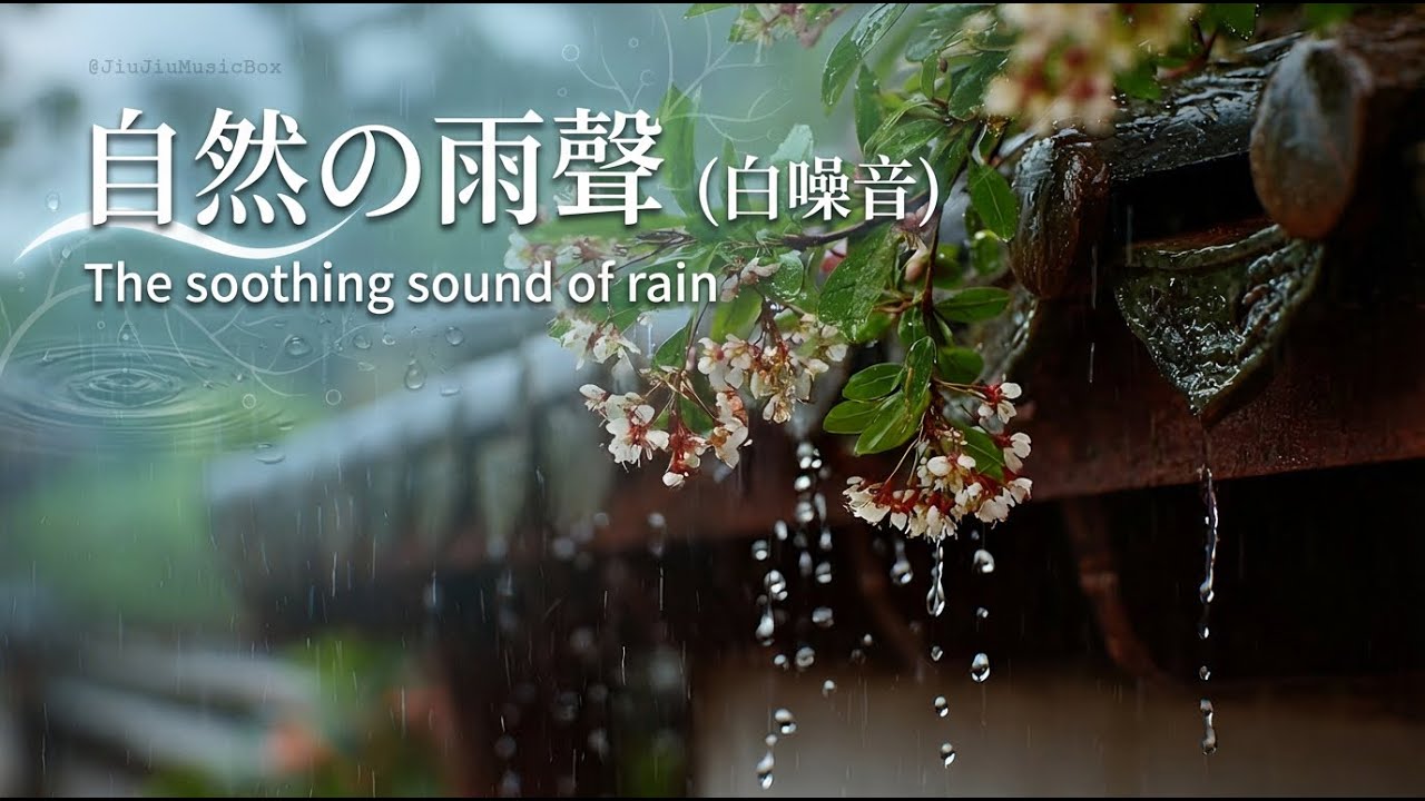 🌧️ 自然雨聲 - 1小時 純雨聲白噪音  | 下雨 | 白噪音 | 放鬆 | 助眠  | 心靈療癒  | 冥想   ( Nature Music )