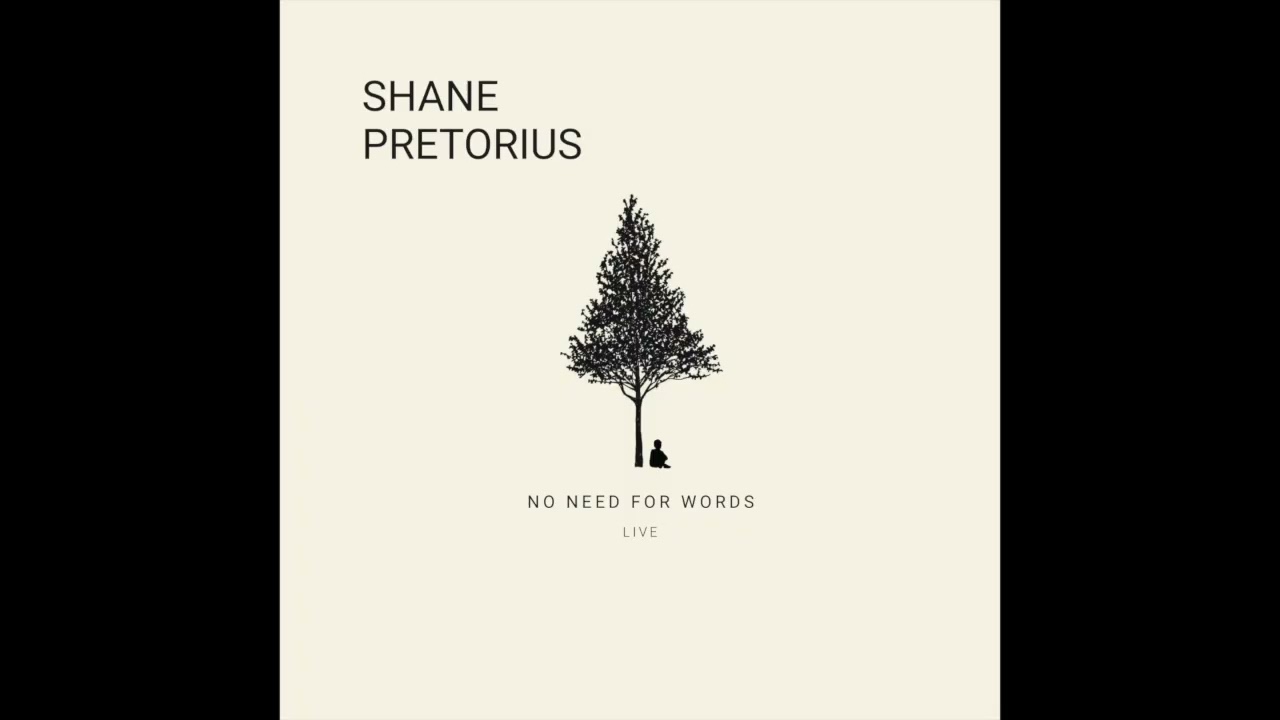 No Need for Words - Shane