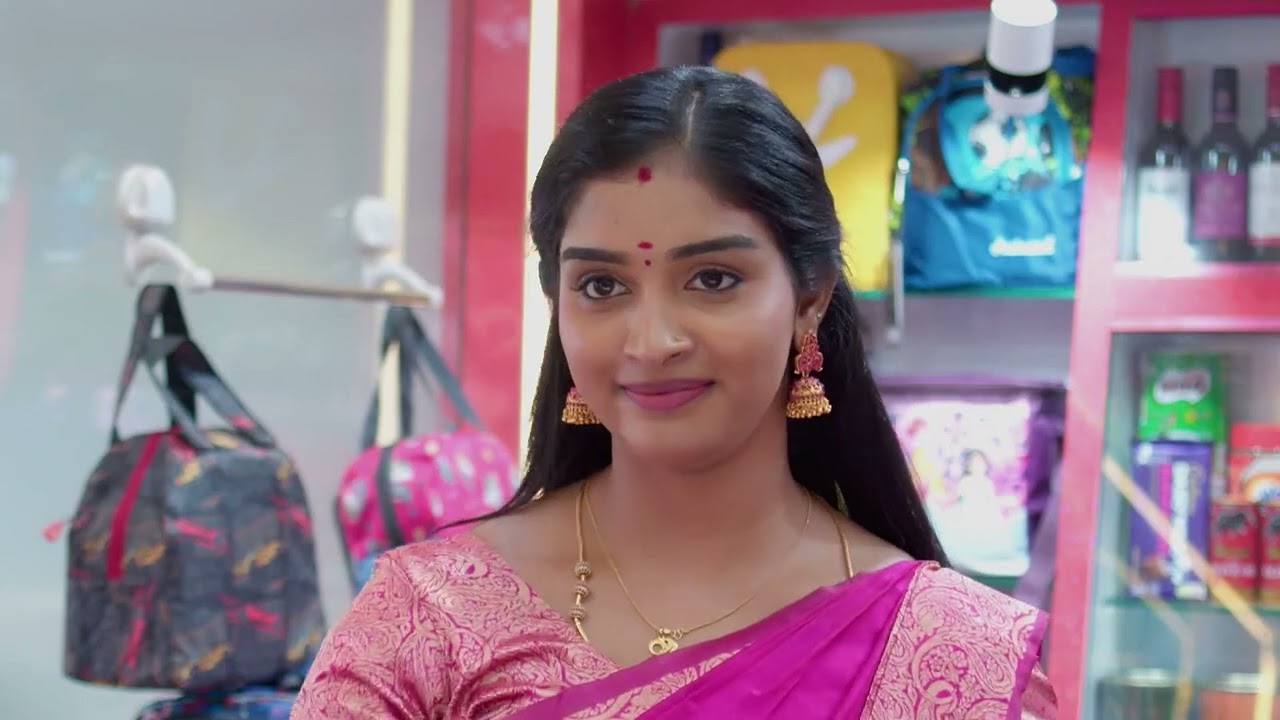 Karthigai Deepam - Full Ep - 486 - Karthikeyan, Deepa, Abirami - Zee Tamil