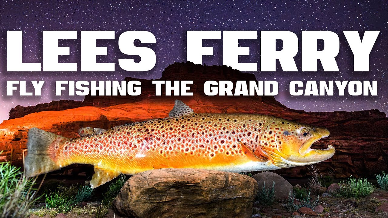 Epic Fly Fishing Adventure in the Grand Canyon | Trout Dreams With FLYCRAFT In Lees Ferry
