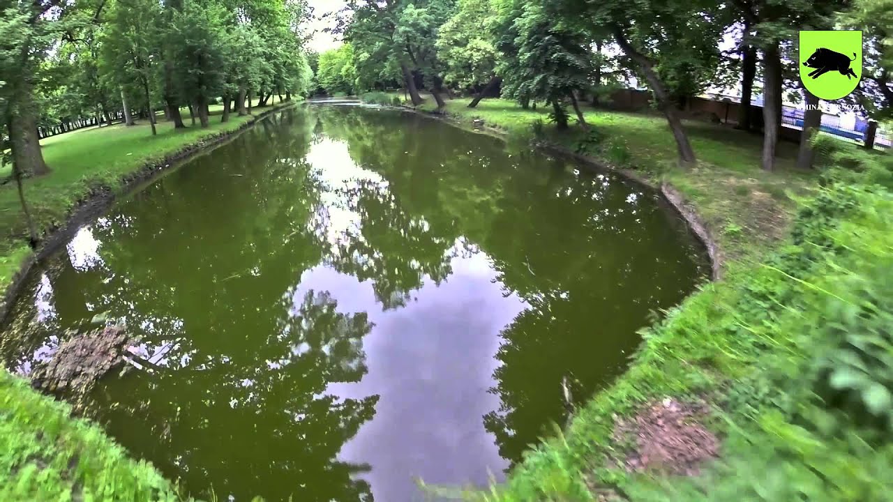 Gmina Kiernozia z lotu DRONA