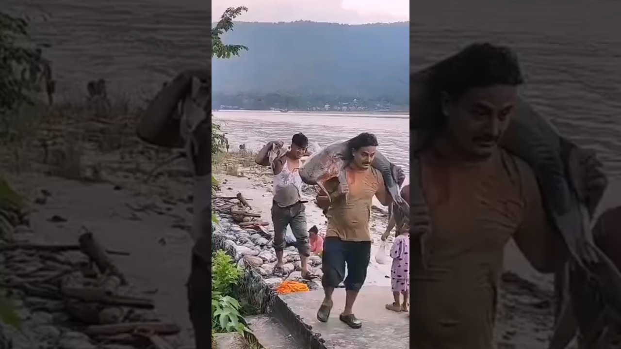 Nepal Flood । Goonch Fish to Bihar | The Real Truth #flood