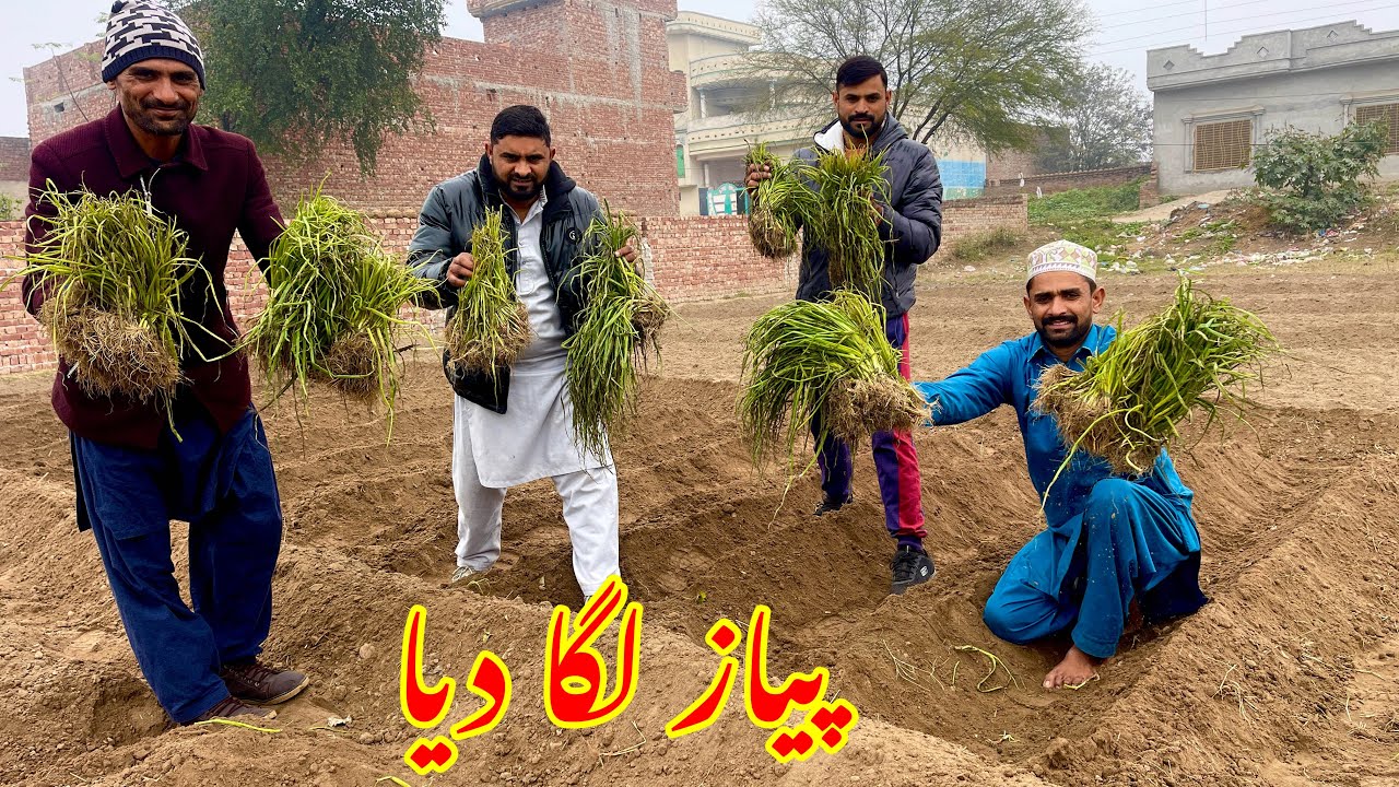 Last Video 2023 Peyaz laga dia