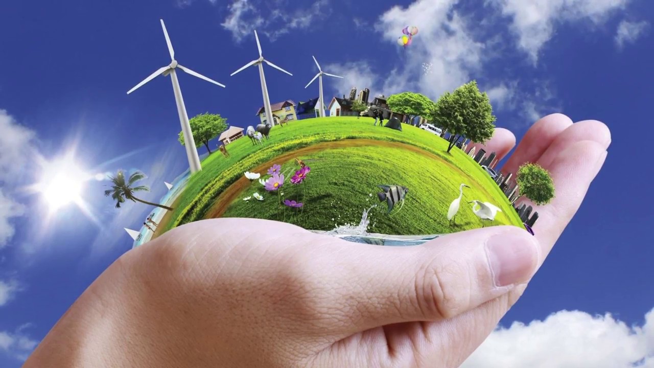 Environmental Manager as a Career